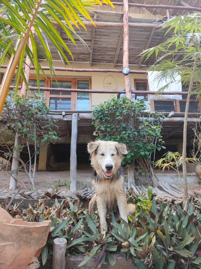 Casa Surf Lodge - Tofo Ngoại thất bức ảnh